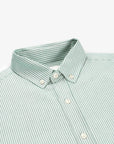 OXFORD SHIRT - OLIVE STRIPES